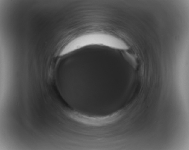 X0000083990035200703091854