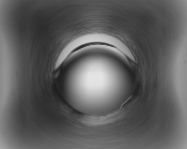 X0000083990037200703091854