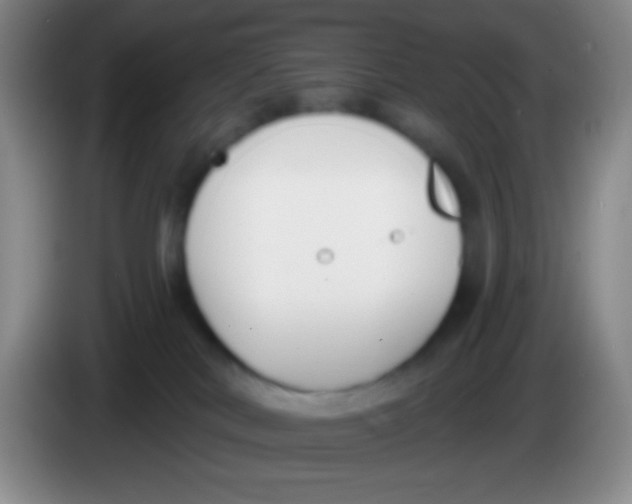 X0000083990038200703091854