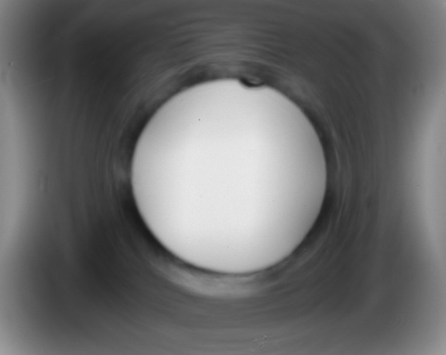 X0000083990040200703091854