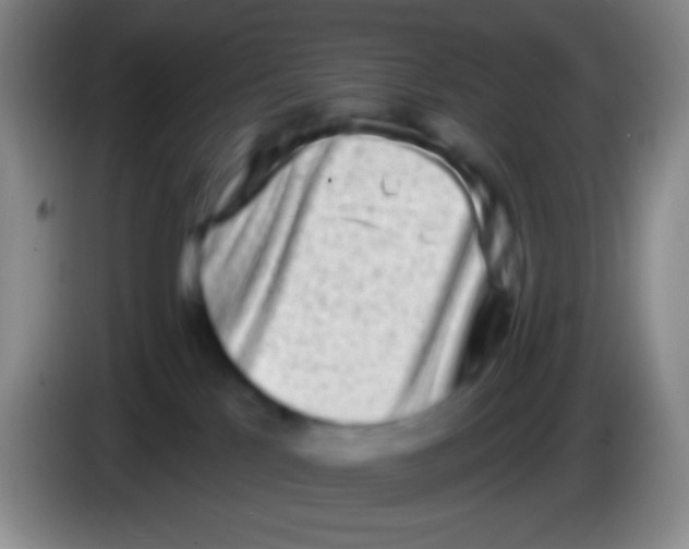 X0000083990041200703091854