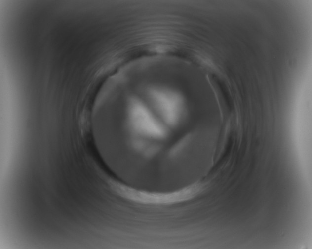 X0000083990043200703091854