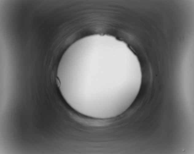 X0000083990044200703091854