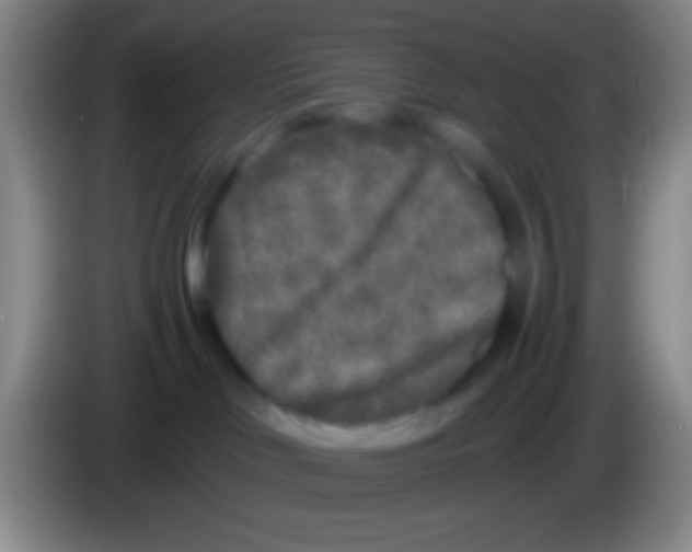 X0000083990046200703091854