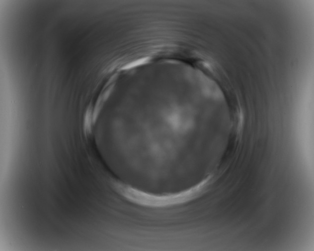 X0000083990047200703091854