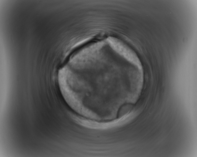 X0000083990048200703091854