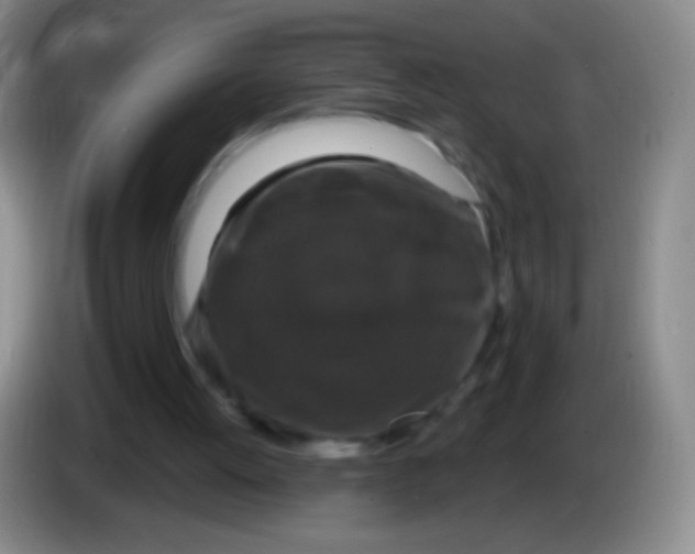 X0000083990052200703091853