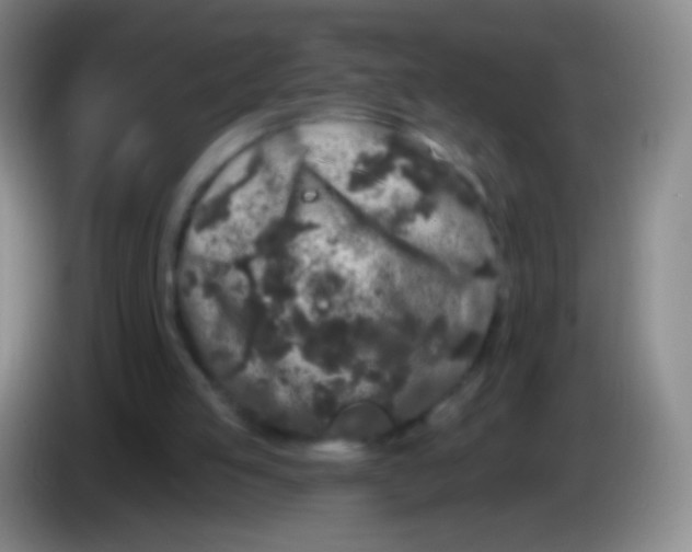 X0000083990053200703091854