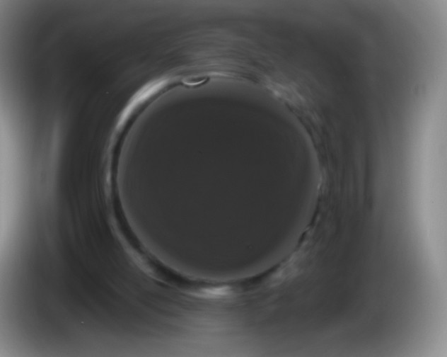 X0000083990054200703091854