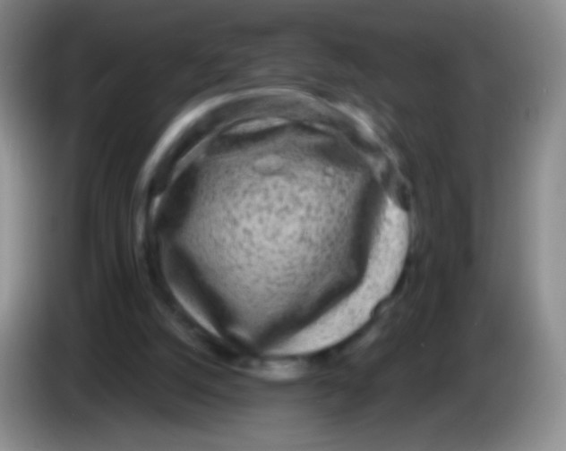 X0000083990056200703091854