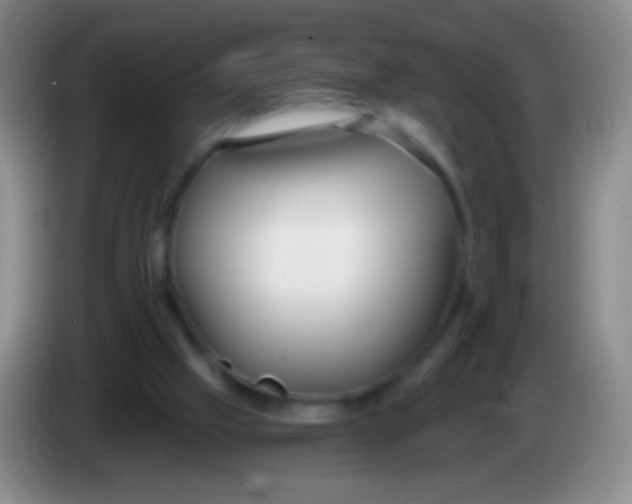 X0000083990057200703091854