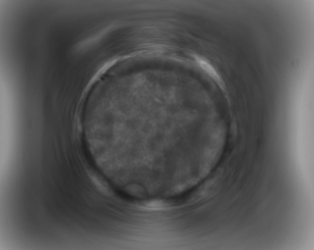 X0000083990059200703091854