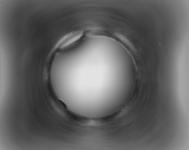 X0000083990060200703091854