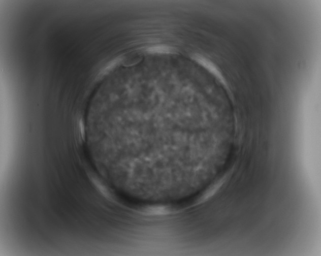 X0000083990061200703091854