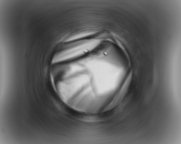 X0000083990066200703091854