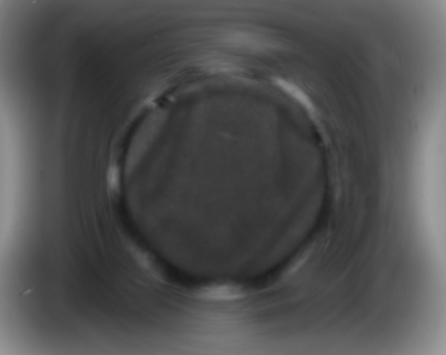 X0000083990067200703091854