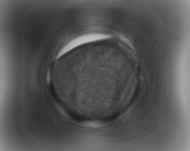 X0000083990069200703091854