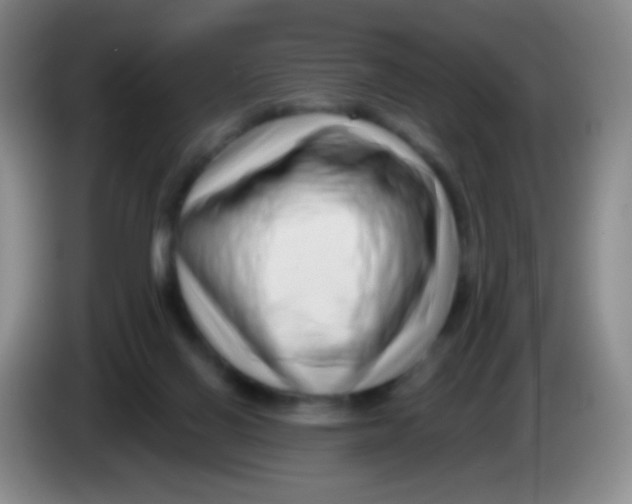 X0000083990070200703091854