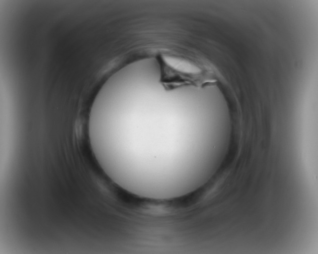 X0000083990071200703091854