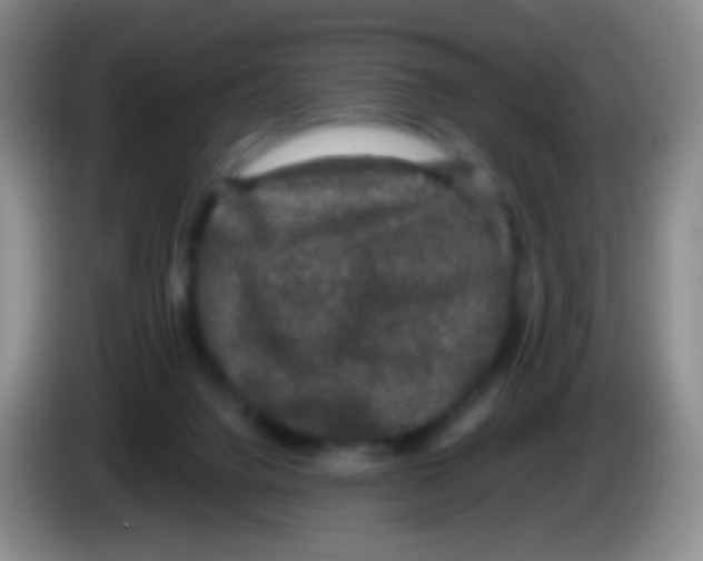 X0000083990072200703091854