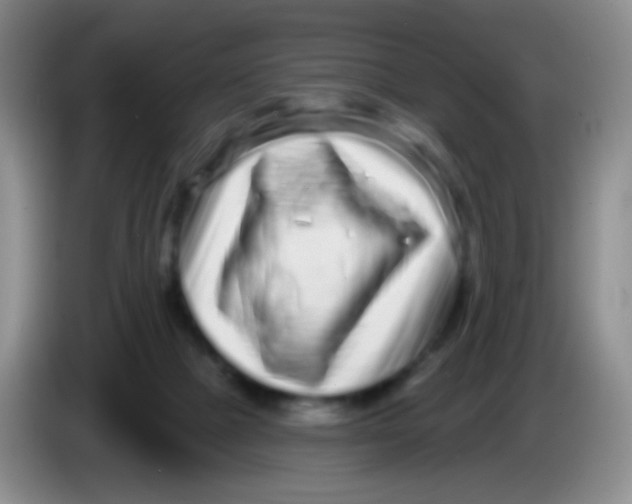 X0000083990073200703091854