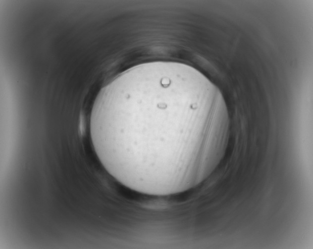 X0000083990075200703091854