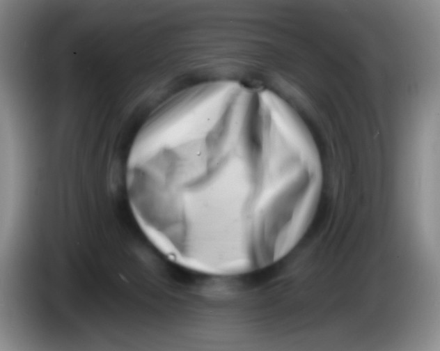 X0000083990077200703091854