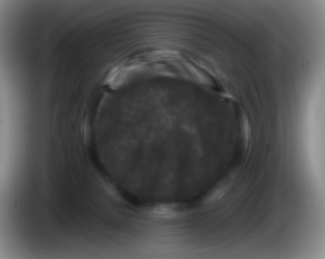 X0000083990080200703091854