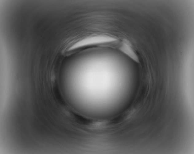 X0000083990084200703091854