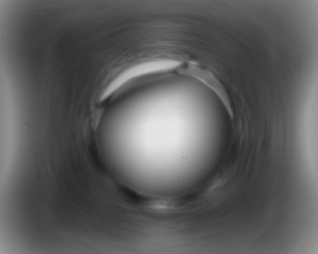 X0000083990088200703091854