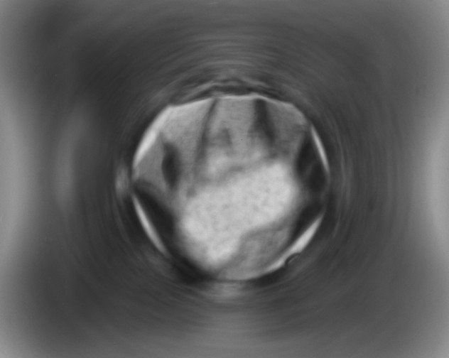 X0000083990089200703091854