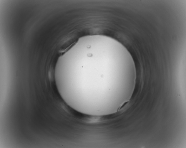 X0000083990090200703091854