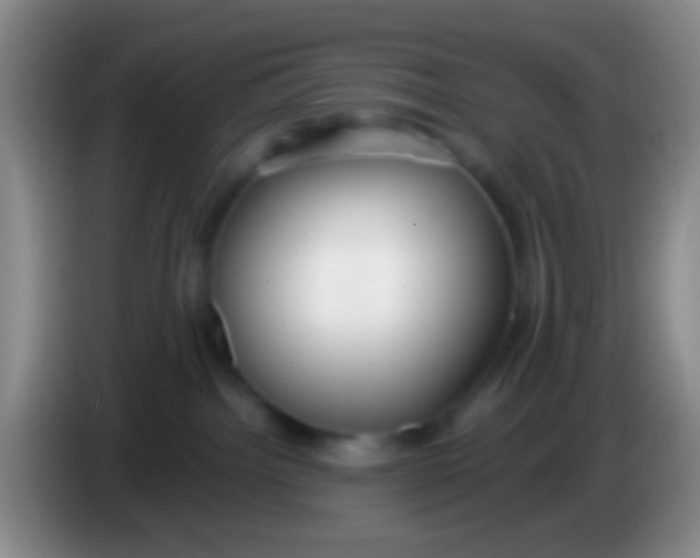 X0000083990092200703091854