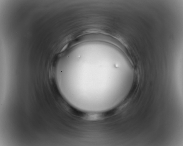 X0000083990093200703091854