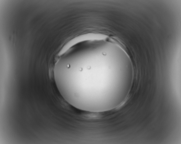 X0000083990094200703091854