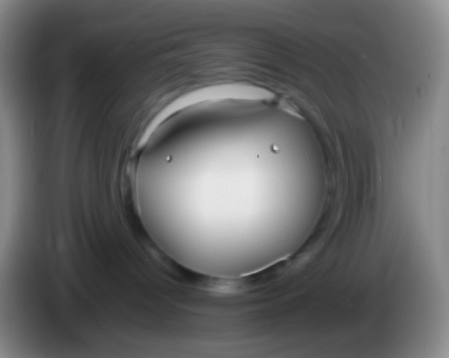 X0000083990096200703091854