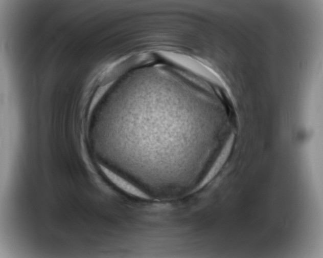 X0000083990097200703091853