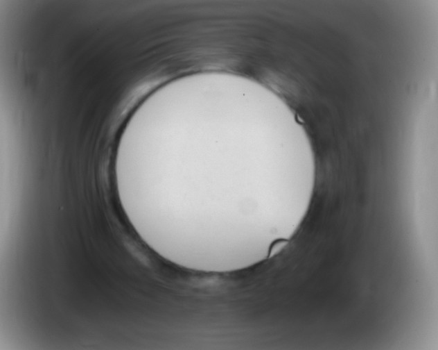 X0000083990098200703091853