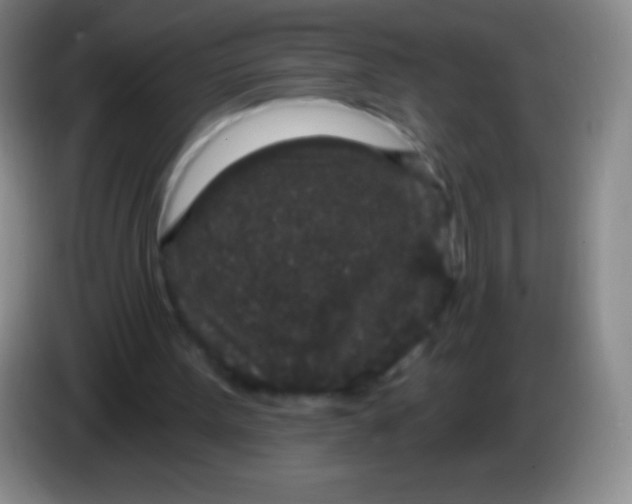 X0000083990099200703091853