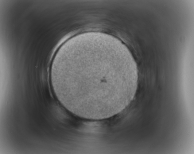 X0000083990100200703091853