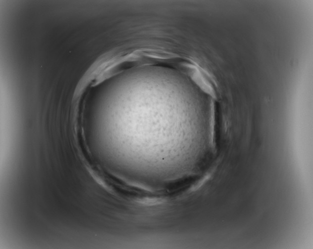 X0000083990101200703091853