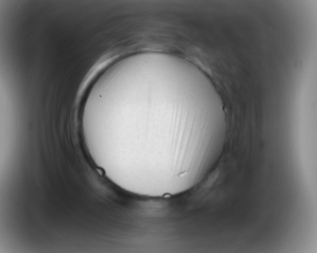 X0000083990102200703091853