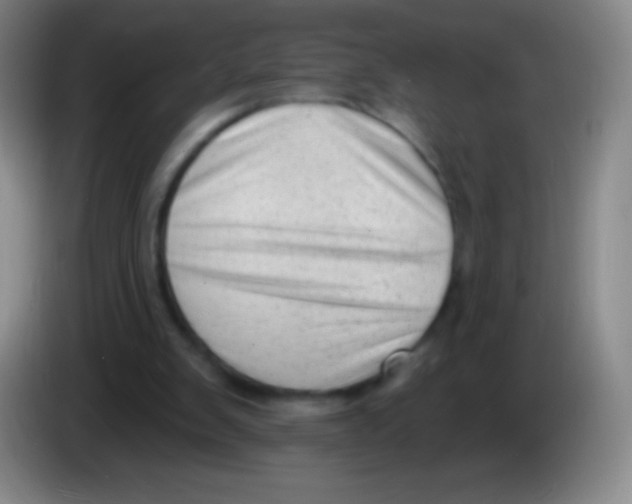 X0000083990103200703091853