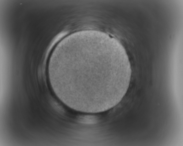 X0000083990104200703091853