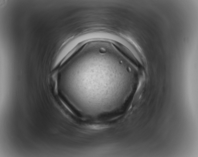 X0000083990105200703091853