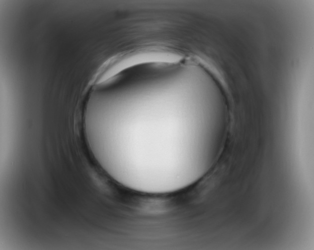 X0000083990107200703091853