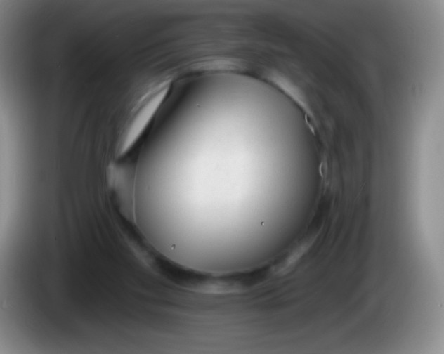 X0000083990109200703091853