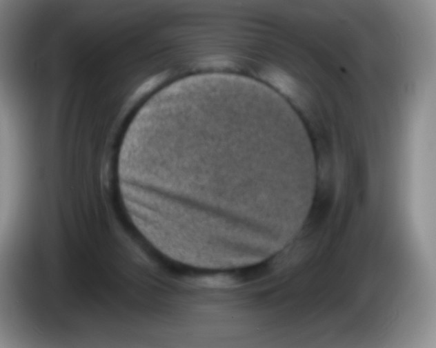 X0000083990112200703091853