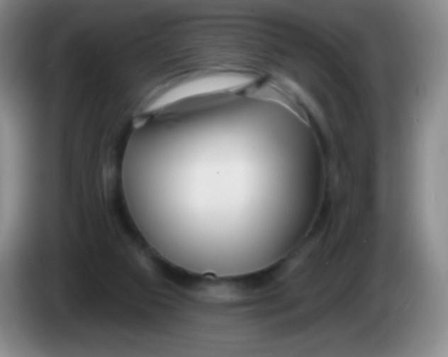 X0000083990113200703091853