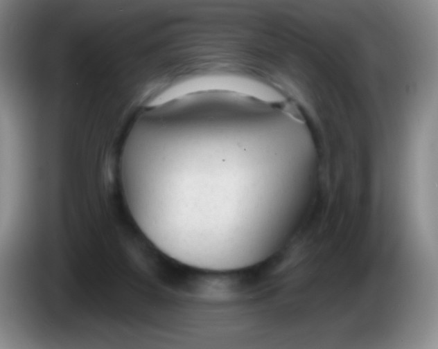 X0000083990115200703091853